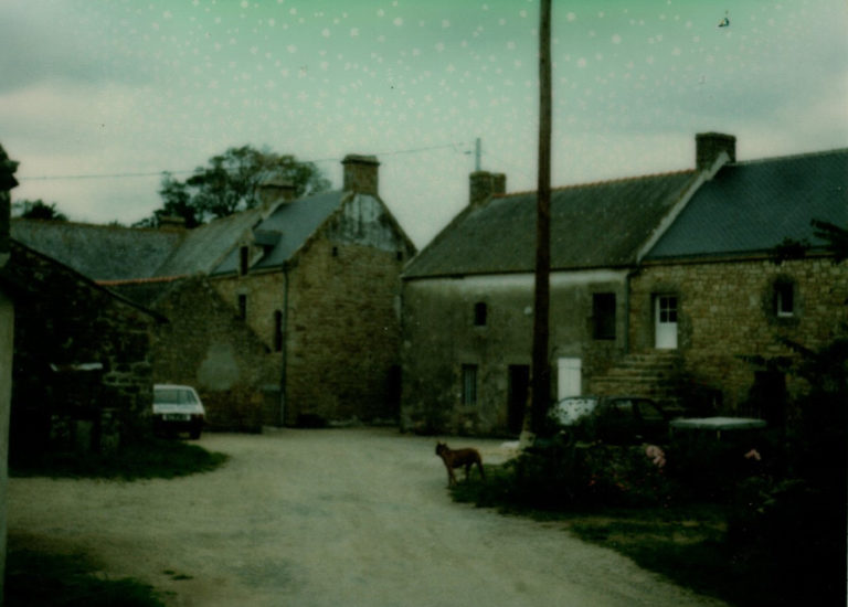 ty léon-rose une rénovation réussie pour ce gite du morbihan