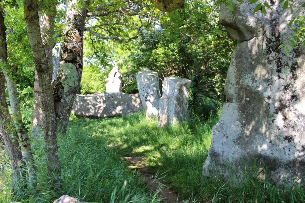 menhirs in wooded countryside