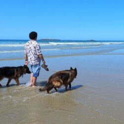 L’été, une plage avec son chien