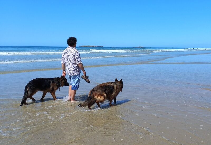 You are currently viewing L’été, une plage avec son chien