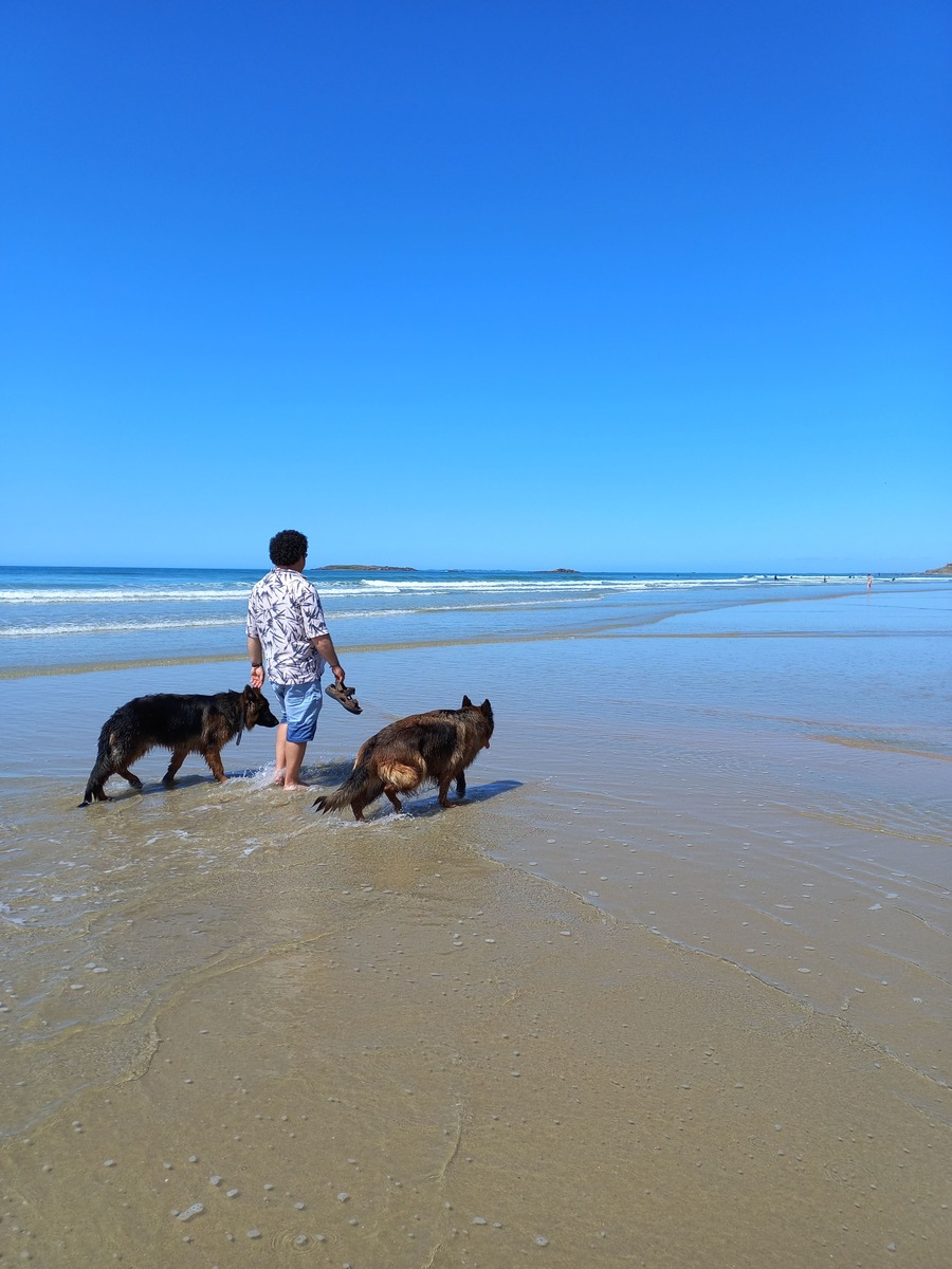 You are currently viewing L’été, une plage avec son chien