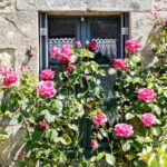 gite-erdeven-web (39)