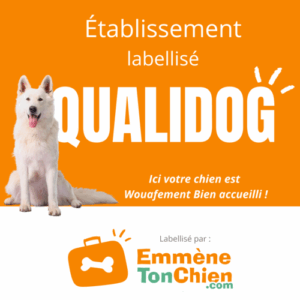 Visuel label QUALIDOG pour communication web (1)