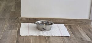 studio bretagne petfriendly (19)