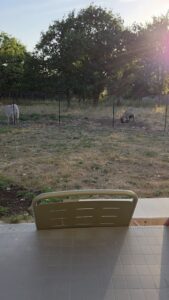 gite bretagne jardin clos