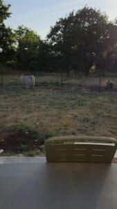 gite bretagne jardin clos (3)