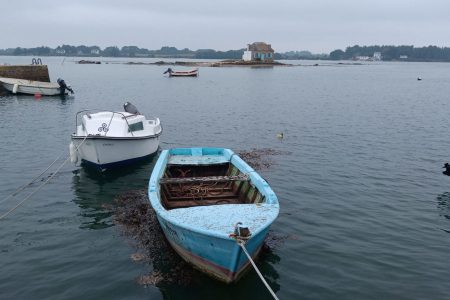 saint cado