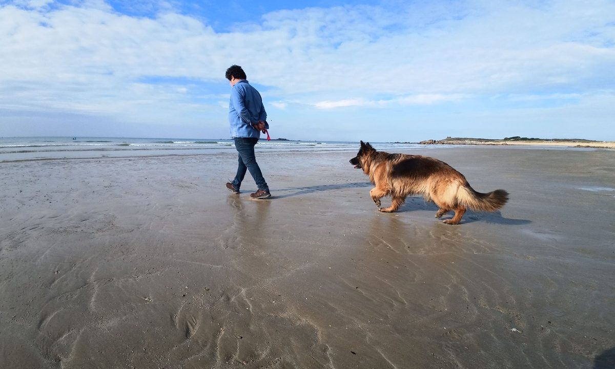 avec son chien à la plage