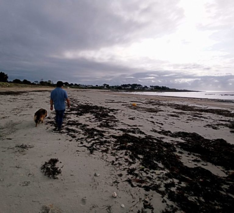 balade avec son chien sur la plage