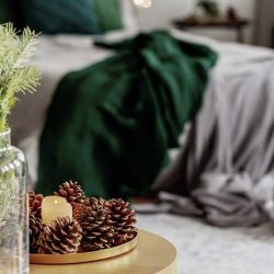 spruce-candle-and-cone-on-small-wooden-table-in-W5VXZSL