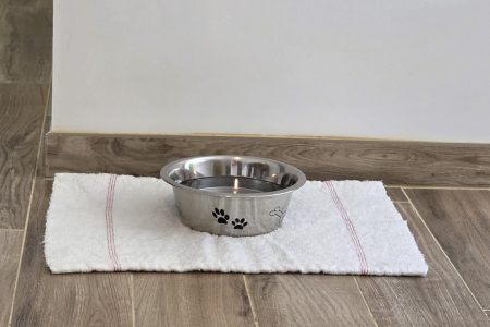 studio bretagne petfriendly (19)